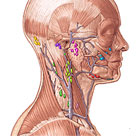 Head Neck Cancer Treatment India